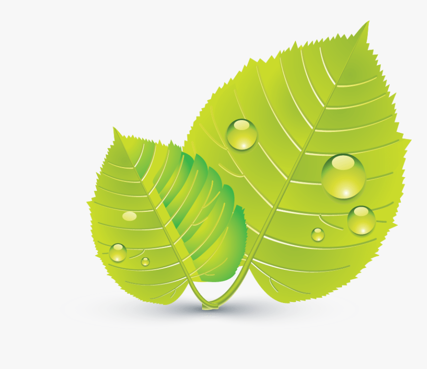 Design Free Logo Green Leaves Online Template - Illustration, HD Png Download, Free Download