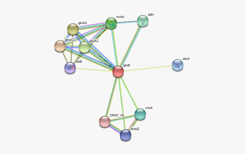 Glob Protein - Circle, HD Png Download, Free Download