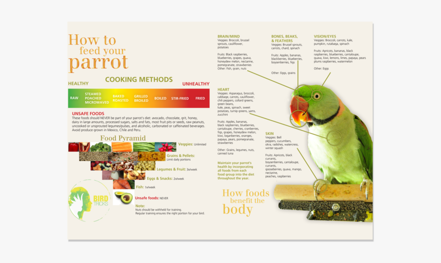 Bird Tricks Feeding Chart, HD Png Download, Free Download