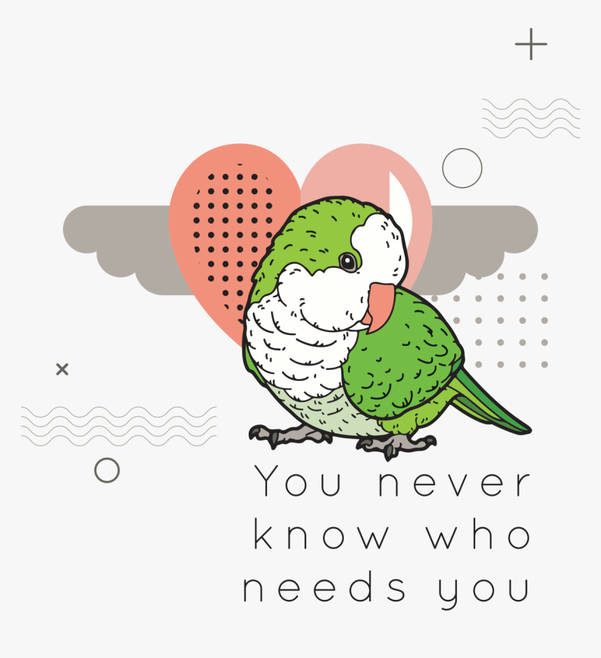 Parakeet, HD Png Download, Free Download