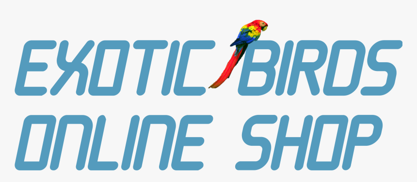 Exotic Birds Online Shop - Hotel Hacienda La Bonita, HD Png Download, Free Download