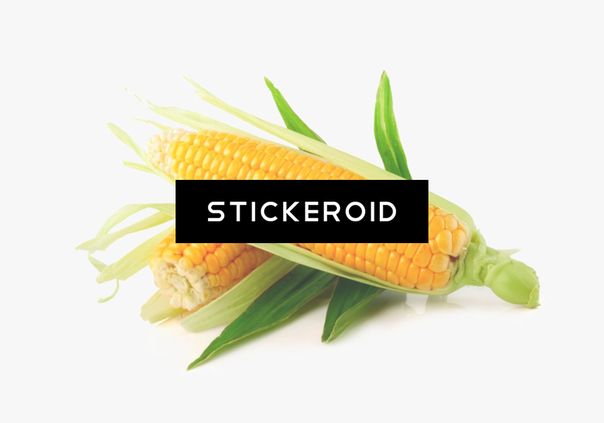 Ferry Morse Fm Foil Ornamental Rainbow Mc Sweet Corn - Fresh Corn, HD Png Download, Free Download