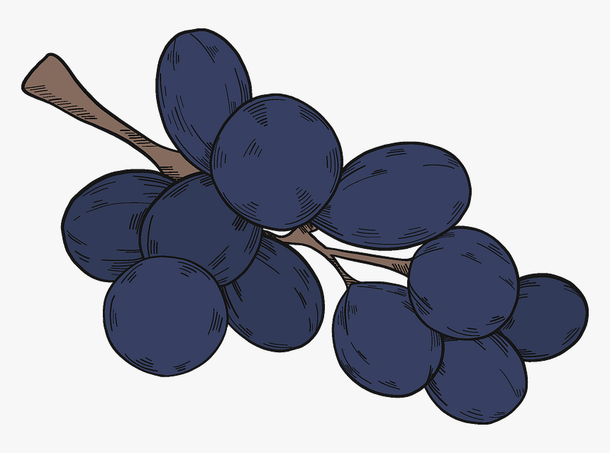 Black Grapes Clipart - Grape, HD Png Download, Free Download