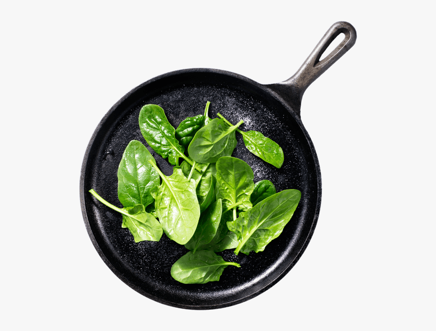 Cooked Spinach Png, Transparent Png, Free Download