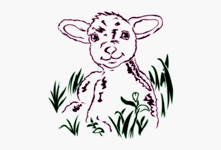 Sheep Drawing Line Art - Line Art, HD Png Download, Free Download