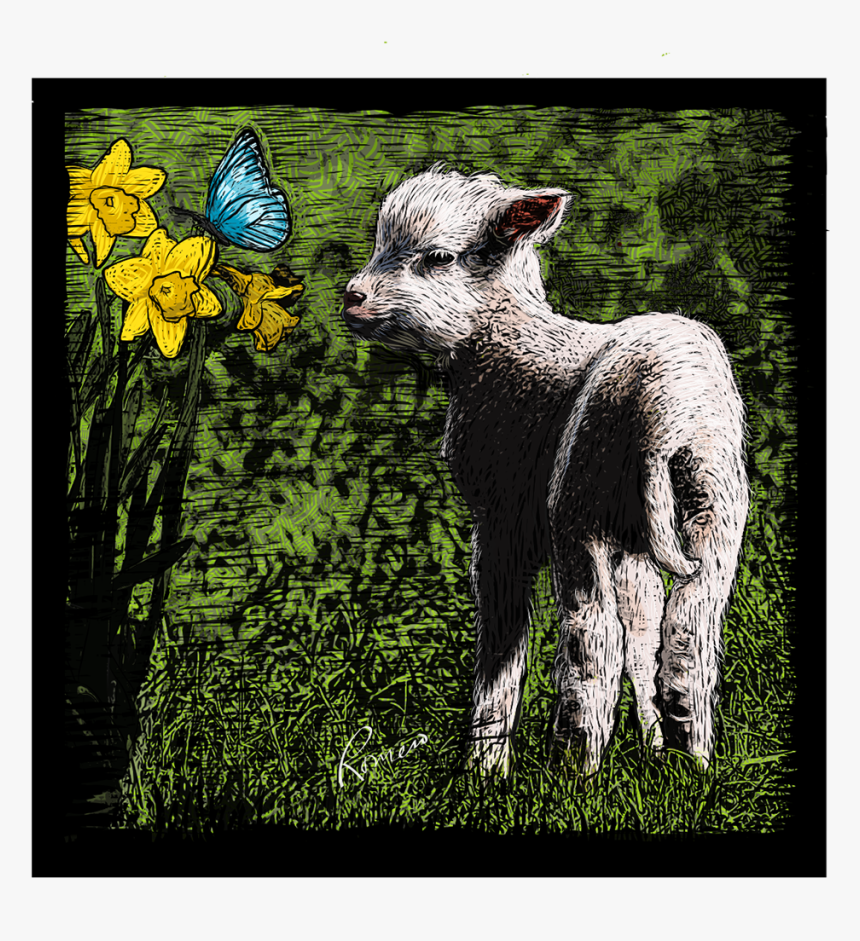 Sheep, HD Png Download, Free Download