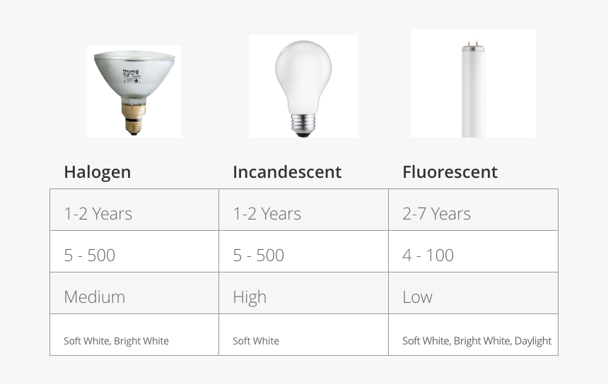 Types Of Bulbs Chart - Fluorescent Lamp, HD Png Download, Free Download