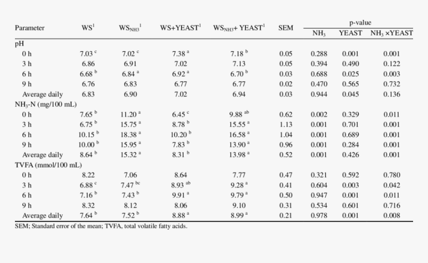 Edwards Personal Preference Schedule Answer Sheet, HD Png Download, Free Download