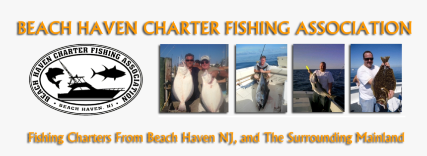 Bhcfa Banner - Beach Haven Charter Fishing Association, HD Png Download, Free Download