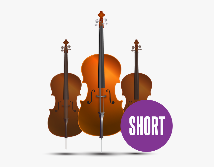 Orchestral Cello Short - Baroque Vs Modern Cello, HD Png Download, Free Download