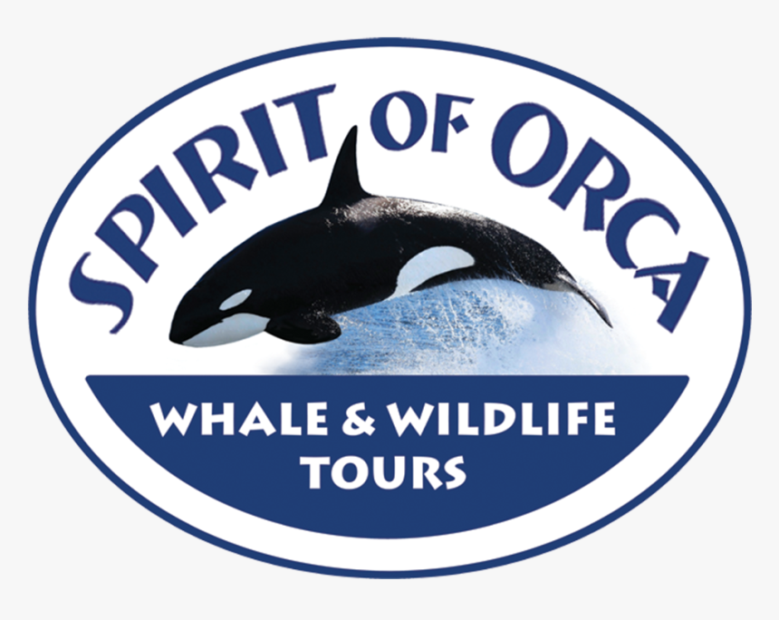 Spirit Of Orca , Png Download - Killer Whale, Transparent Png, Free Download