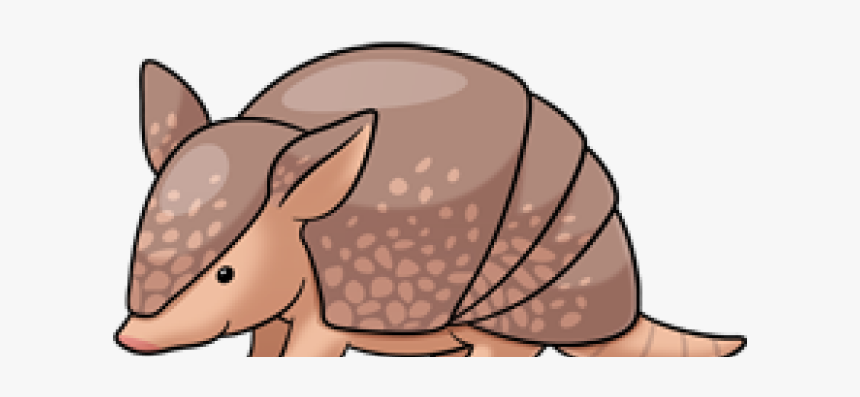 Easy To Draw Armadillo, HD Png Download, Free Download