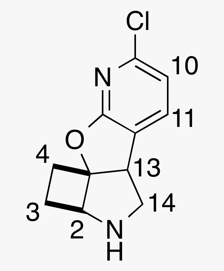 Phantasmidine Proton Nmr Label - 2 Aminopurine, HD Png Download, Free Download