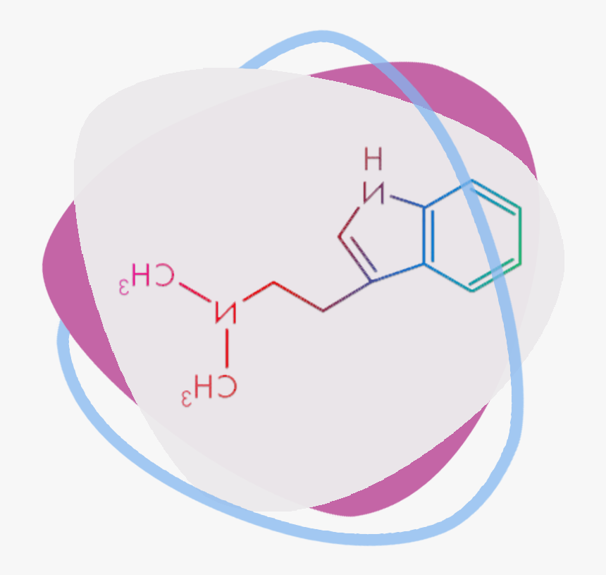 Psychedelics Spirit Molecule - Circle, HD Png Download, Free Download