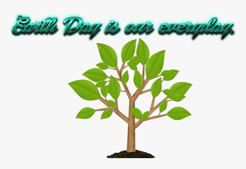 Earth Day Slogans Png Free Pic - Plant A Koala Food Tree, Transparent Png, Free Download