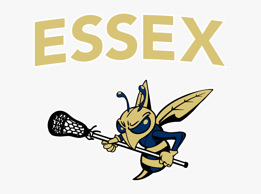 Essex Hs Lacrosse - Csi Compressco Logo, HD Png Download, Free Download