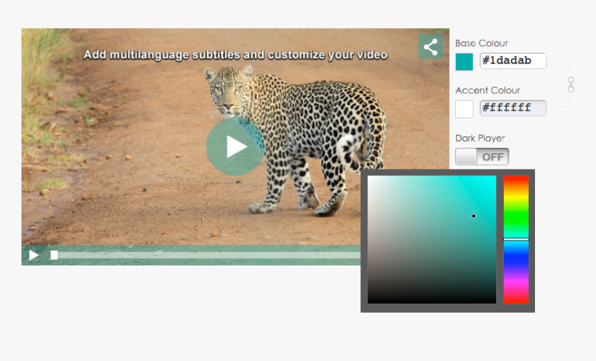 Customizable Video Player - Custom Youtube Video Player, HD Png Download, Free Download