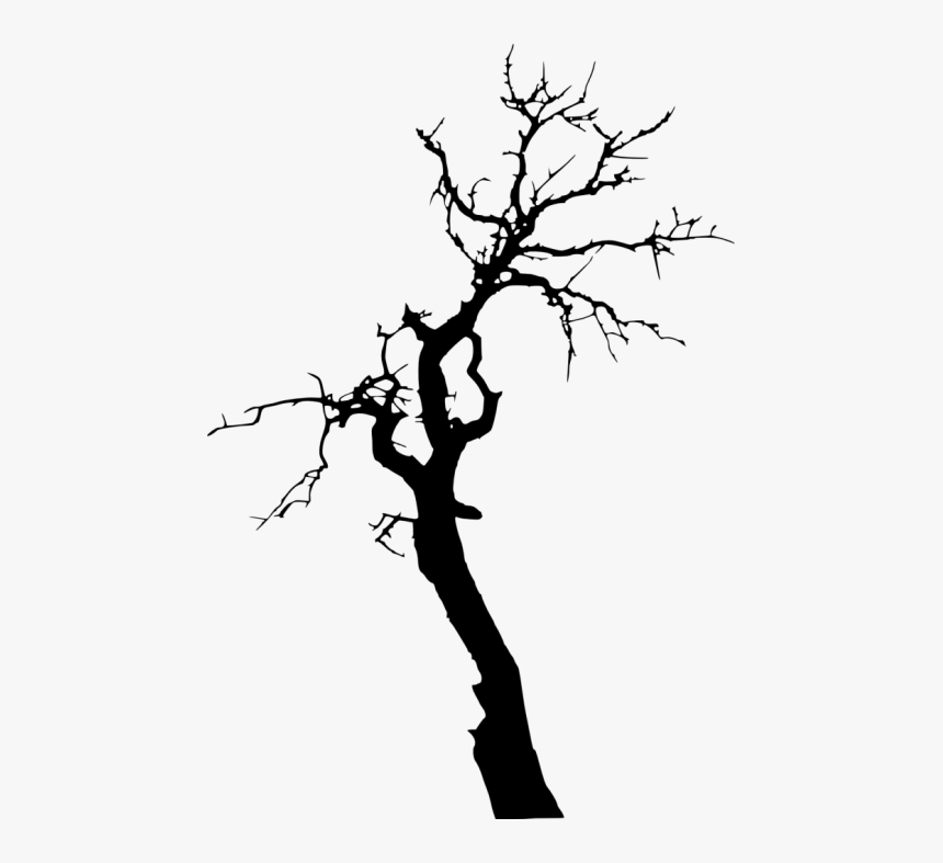 Transparent Background Tree Silhouette Png, Png Download, Free Download