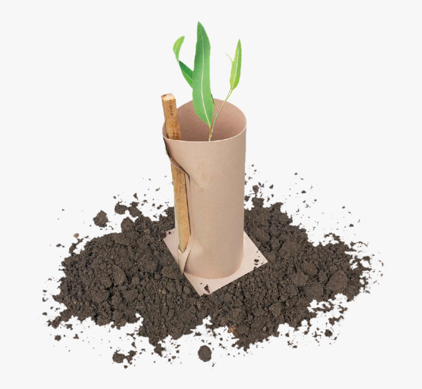 Flowerpot, HD Png Download, Free Download