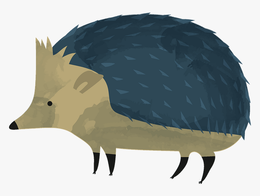 Hedgehog Clipart - Illustration, HD Png Download, Free Download