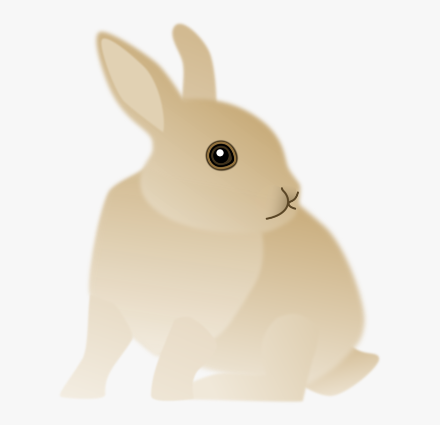 Rabits And Hares,hare,whiskers - Domestic Rabbit, HD Png Download, Free Download