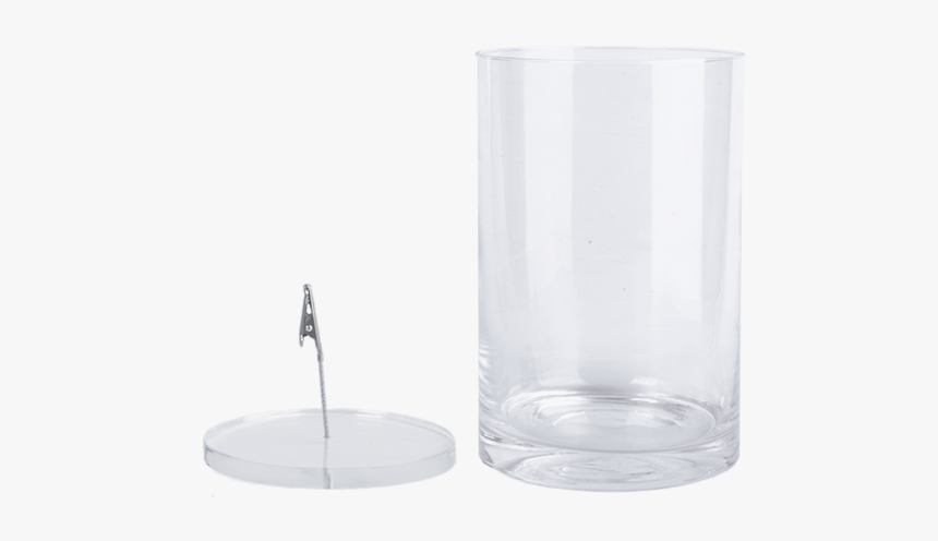 Submerged Flower Vase S - Pint Glass, HD Png Download, Free Download