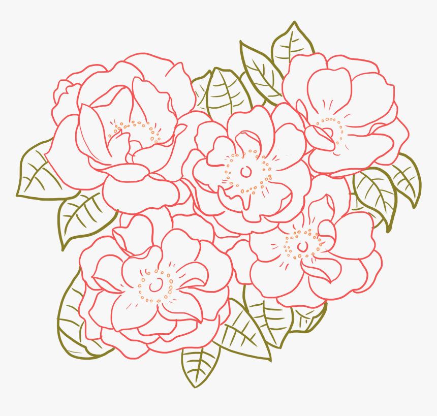 Transparent Floral Line Png - Drawing, Png Download, Free Download