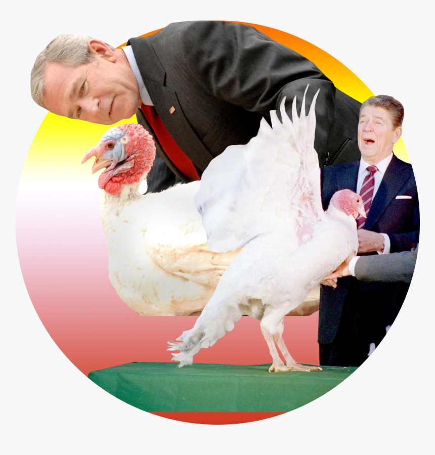 George W Bush Turkey, HD Png Download, Free Download