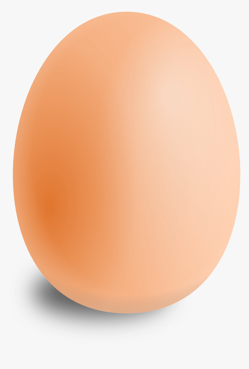Egg, Oval, Food, Round - Things That Look Like Oval, HD Png Download, Free Download