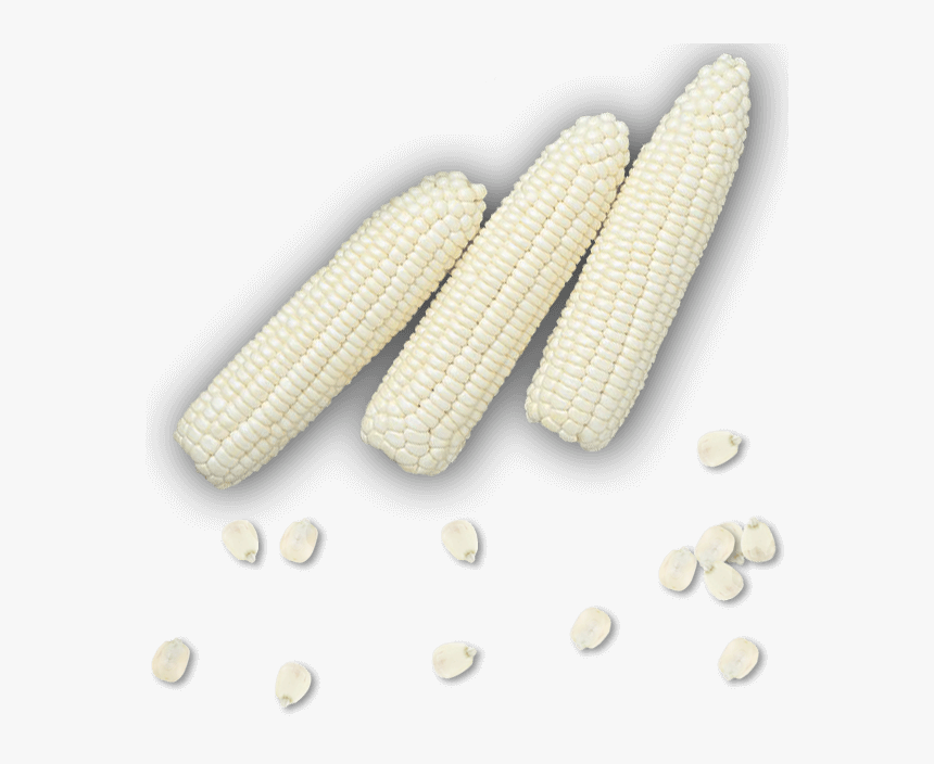 transparent elotes png corn kernels png download kindpng kindpng