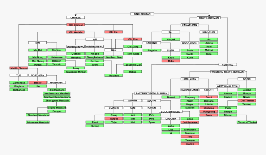 File - Sinotibetantree - Svg - Sino Tibetan Language Tree, HD Png Download, Free Download