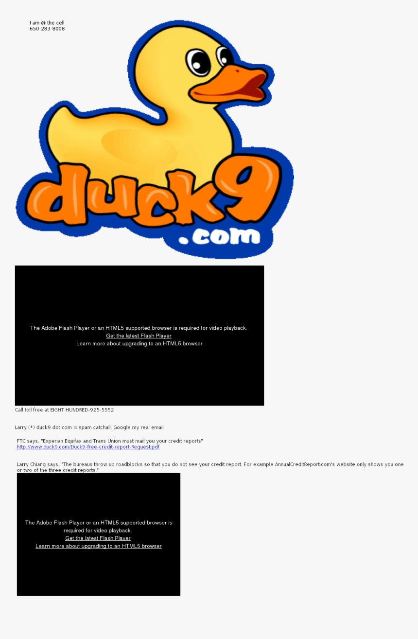 Duck Png Download Duck - Duck, Transparent Png, Free Download