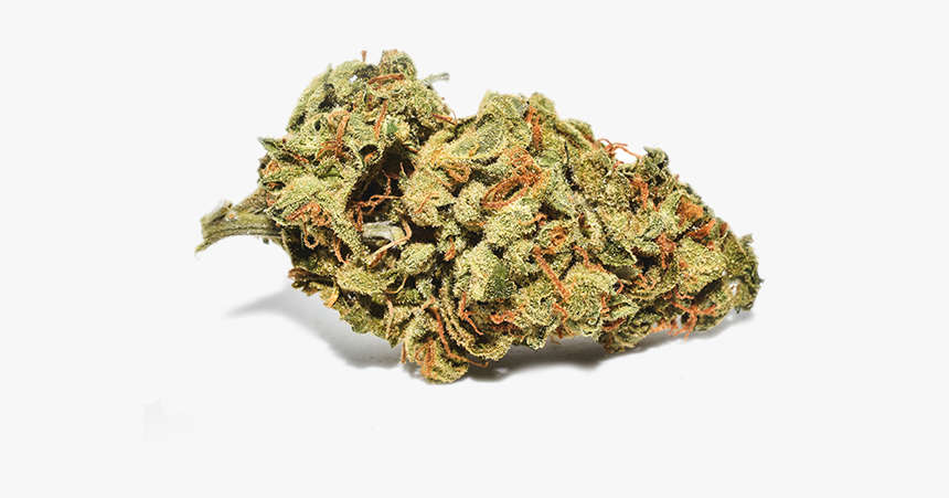 Sour Lemon Haze Legends Cannabis, HD Png Download, Free Download