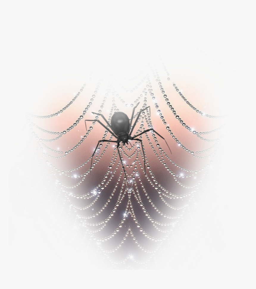 #freetoedit #spider #spiderwebs - Spider Web, HD Png Download, Free Download