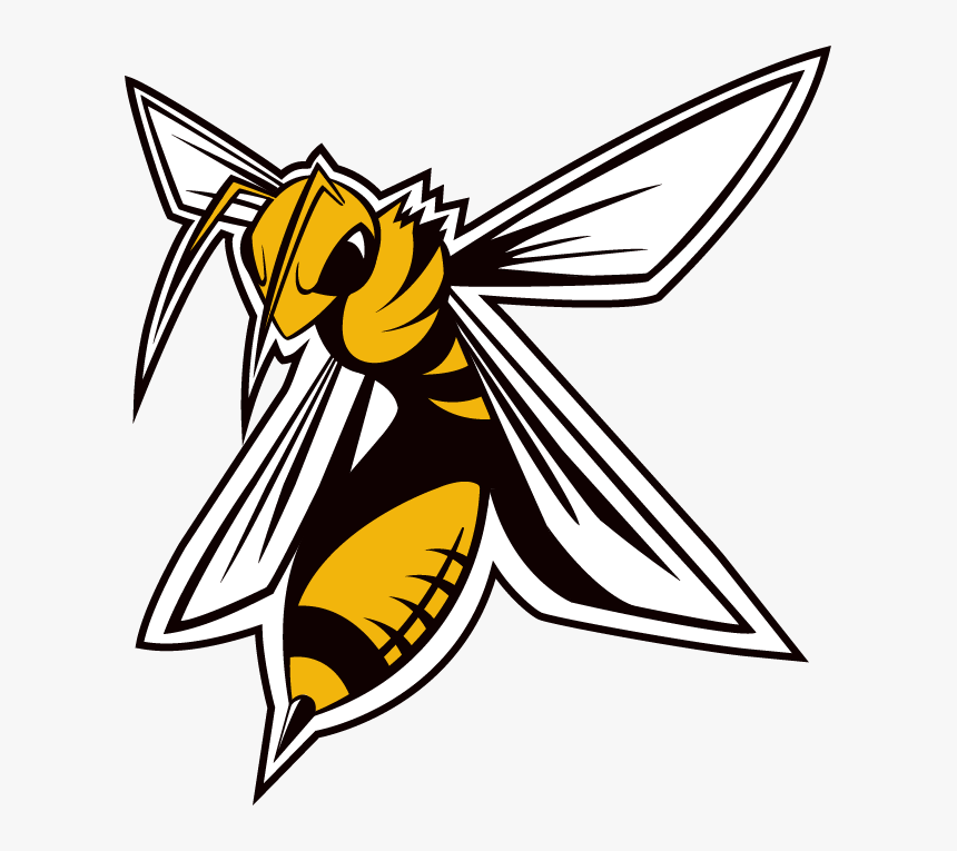 Comite Contact Archives - Hornets La Chaux De Fonds, HD Png Download, Free Download