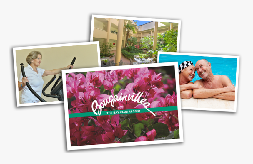 Bougainvillea Retirement Village Neutral Bay Sydney - Bougainvillea Retirement Village, HD Png Download, Free Download