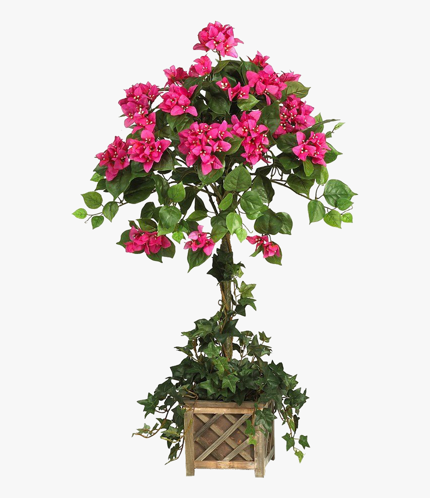 Natural Flower Pot Png, Transparent Png, Free Download