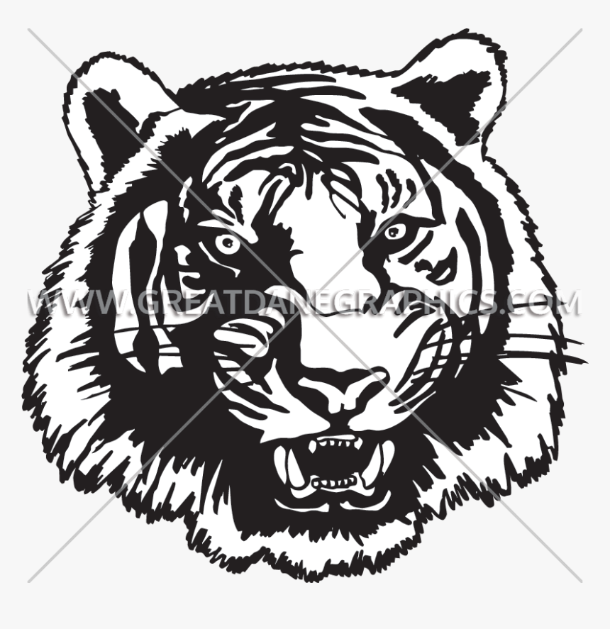 Tiger Head Png, Transparent Png, Free Download