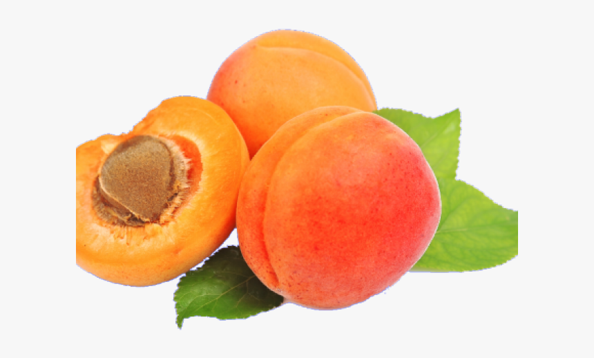 Apricot Png Transparent Images - Apricot Png Cartoon, Png Download, Free Download