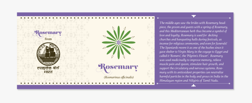 Rosemary - Spices Board Of India, HD Png Download, Free Download