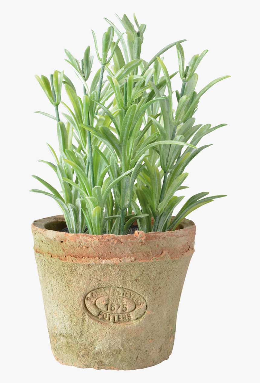 Rosemary In At Pot S - Esschert Design, HD Png Download, Free Download