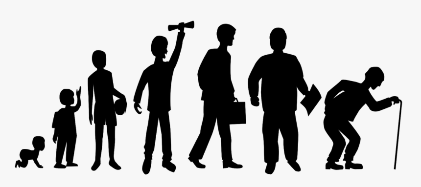 Stage Silhouette Png - Human Circle Of Life, Transparent Png, Free Download