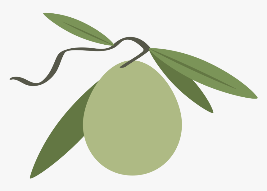 Olive , Png Download - Fruit, Transparent Png, Free Download