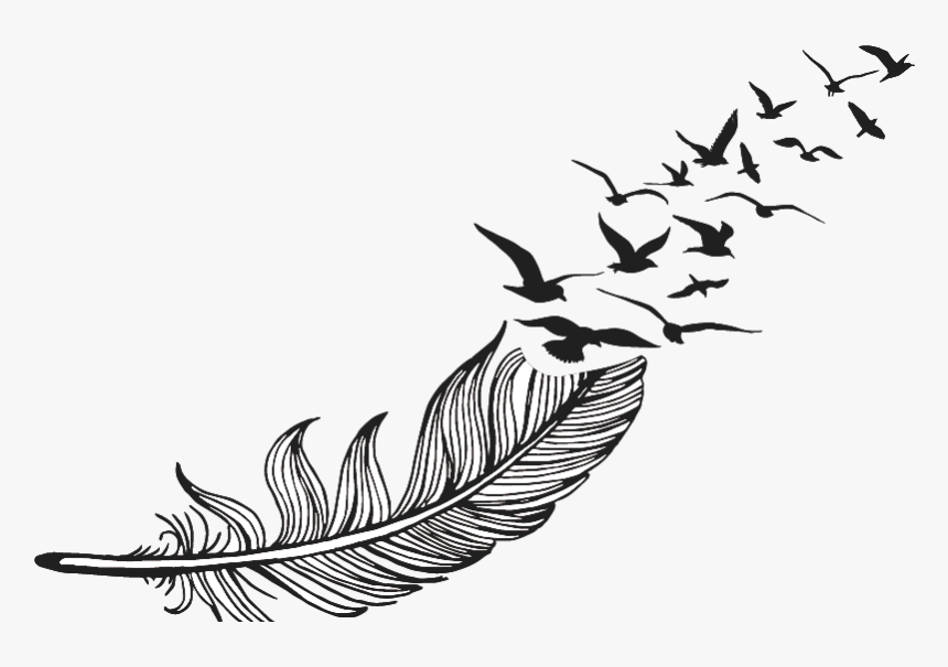 Feather Logo Png, Transparent Png - kindpng