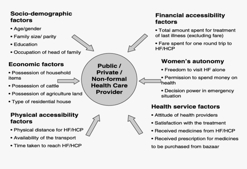 Determinants Of Health Seeking Behaviour, HD Png Download, Free Download