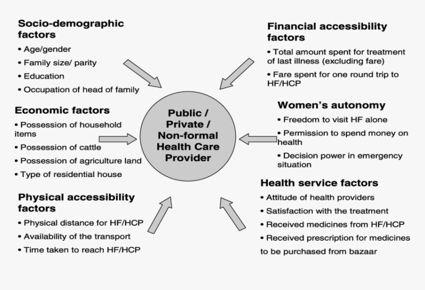 determinants-of-health-seeking-behaviour-hd-png-download-kindpng