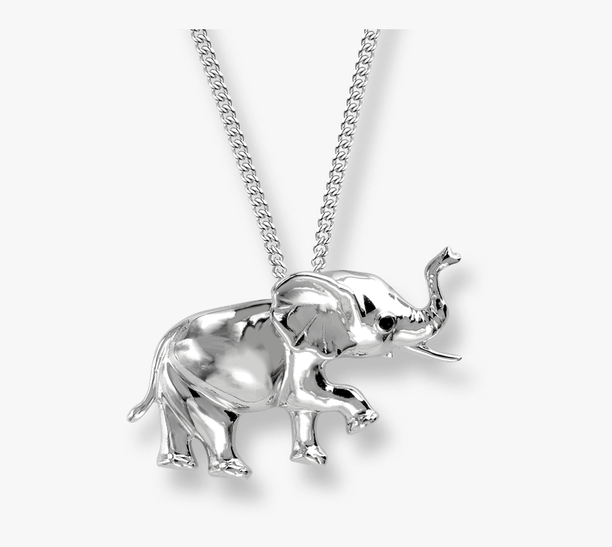 Nicole Barr Designs Sterling Silver Elephant Necklace - Silver Jewelry With Transparent Background, HD Png Download, Free Download