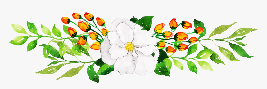 Camellia Sasanqua, HD Png Download, Free Download