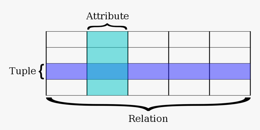 Relational Database Terms - Relational Data Model Tuple, HD Png Download, Free Download