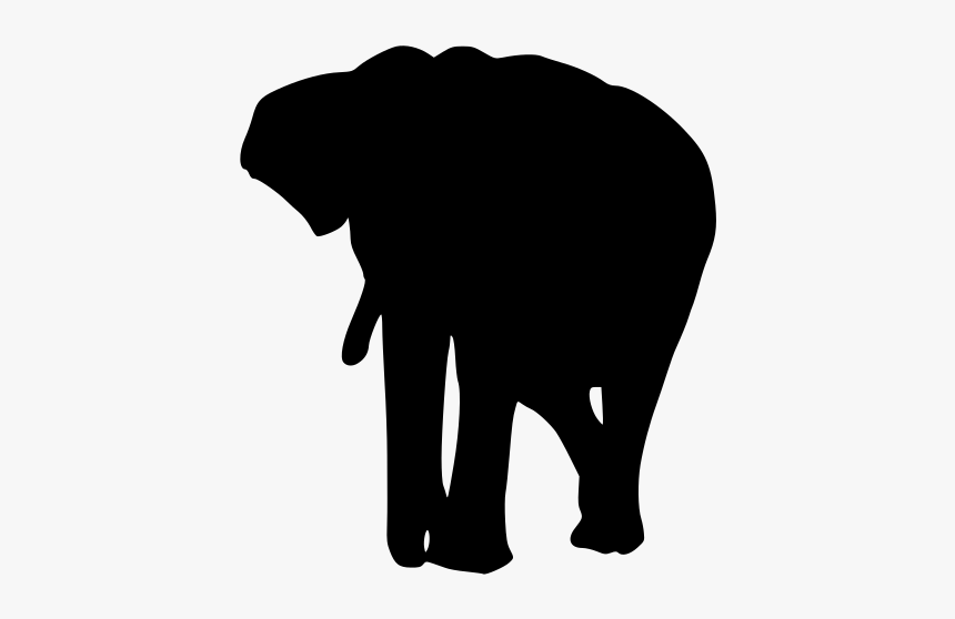 Indian Elephant, HD Png Download, Free Download